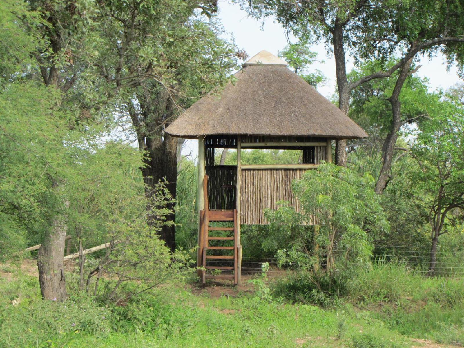 Lodge 54 Hoedspruit Eksteriør billede